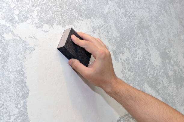 Forensic Mold Investigation in Martinsville, IL