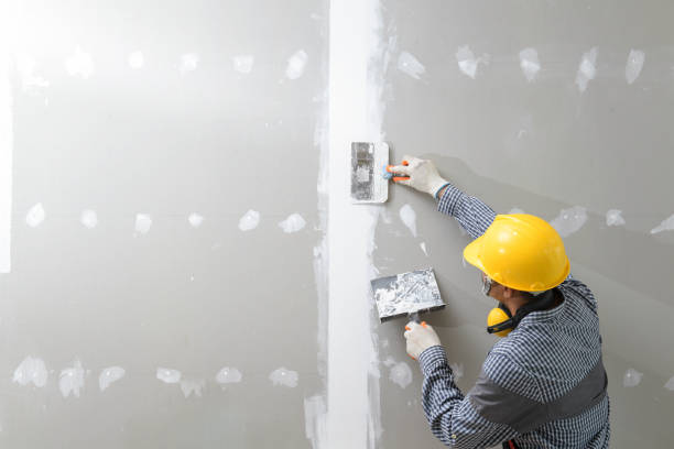 Martinsville, IL Mold Removal Company